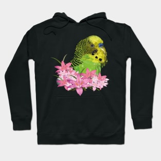 Australian parakeet Hoodie